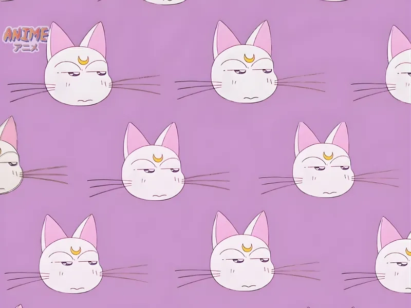 Artemis Sailor Moon luôn giúp đỡ nhóm chiến binh