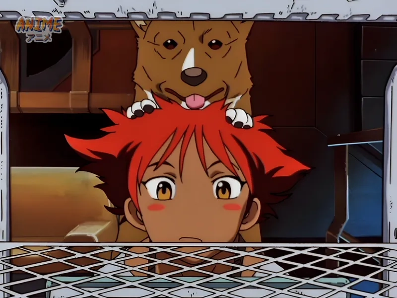 Ein chó luôn sát cánh cùng phi hành đoàn