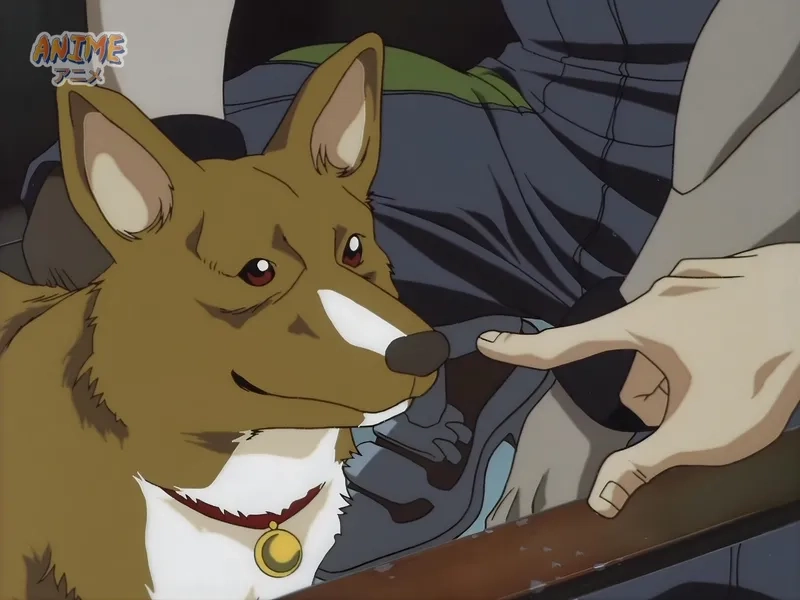 Tải ảnh Ein miễn phí về máy của bạn