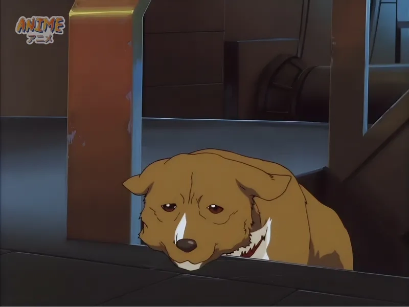 Chia sẻ ngay hình ảnh Ein đẹp và thông minh