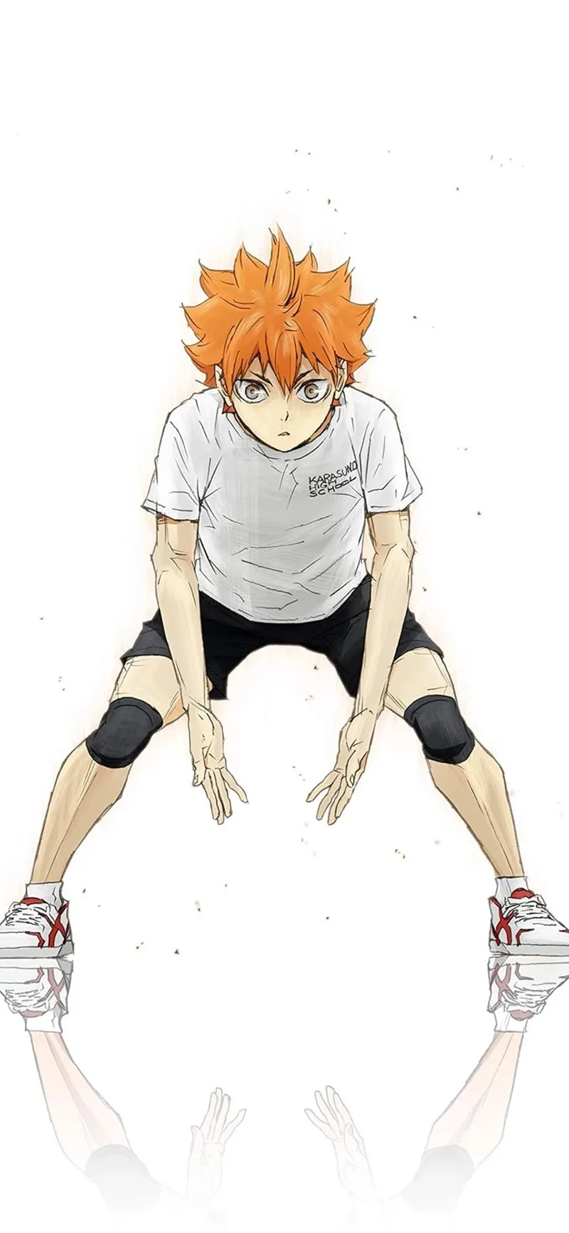 Đắm chìm trong thế giới Hinata Shoyo anime