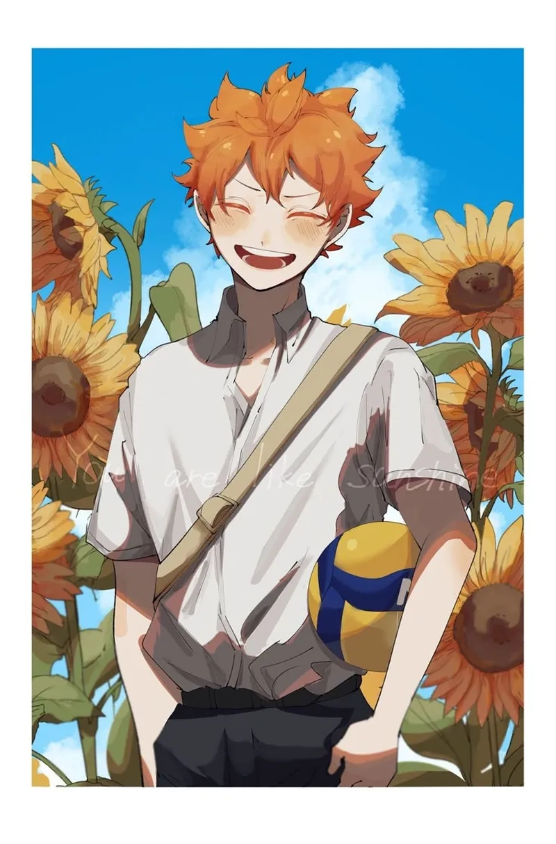 Trọn bộ Hinata Shoyo manga cho fan Haikyuu