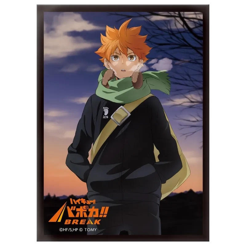 Tìm hiểu tiểu sử Hinata Shoyo tiểu sử đầy đủ