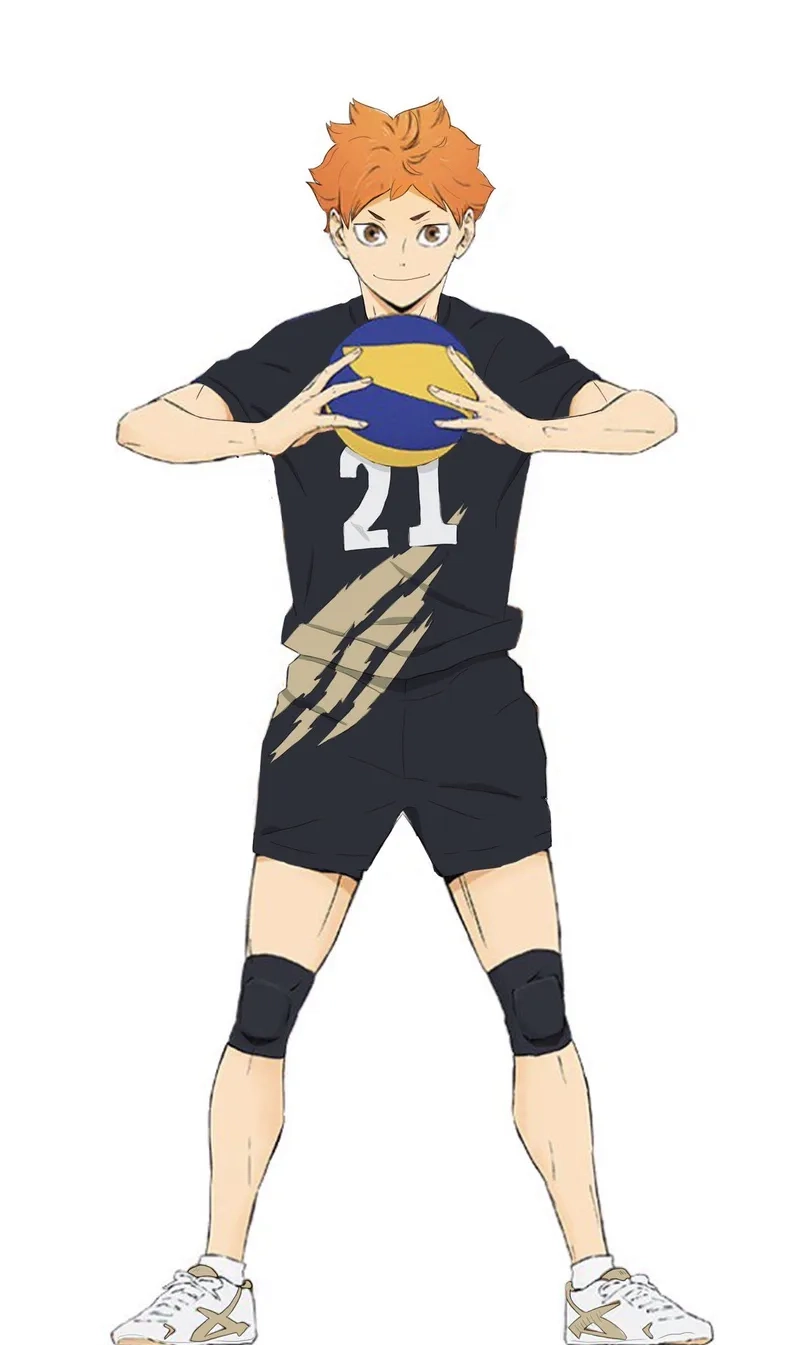 Cổ vũ đội Karasuno cùng Hinata Shoyo đội Karasuno