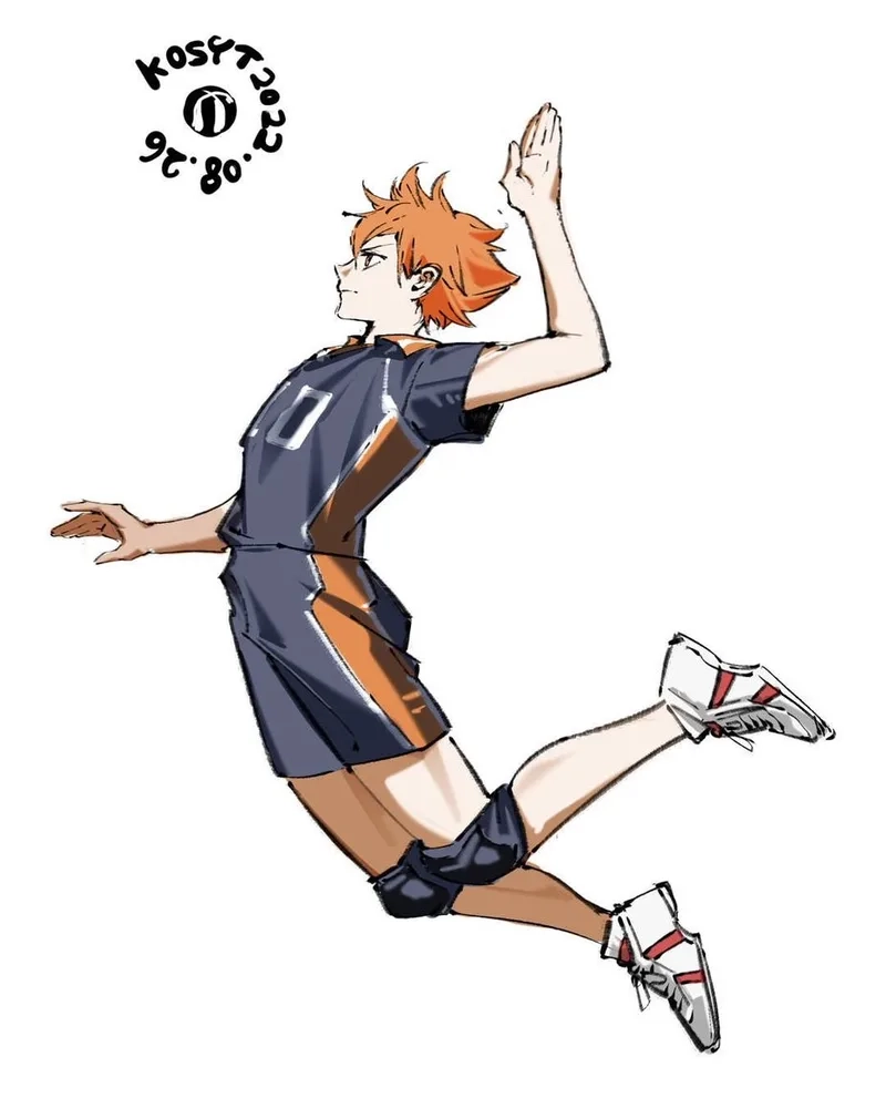 Hinata Shoyo là ai và vì sao được yêu thích