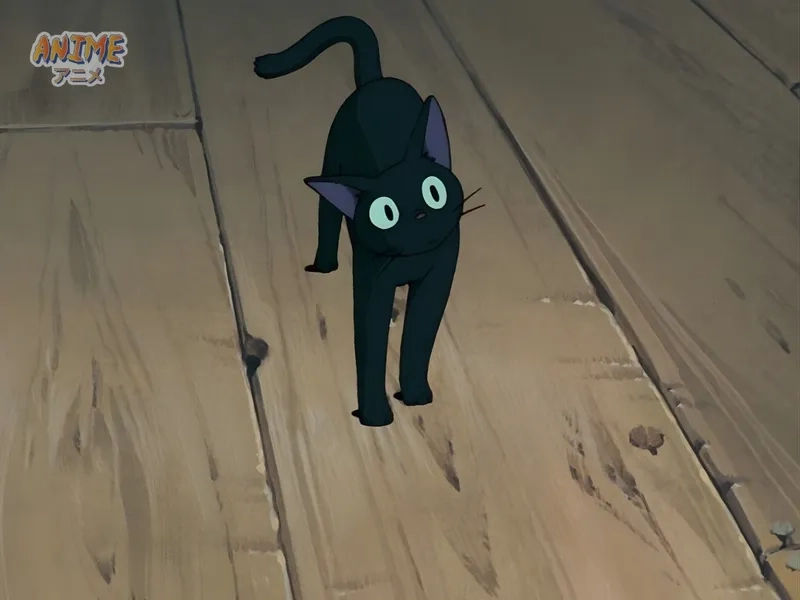 Sưu tầm ảnh Jiji HD chất lượng tuyệt vời