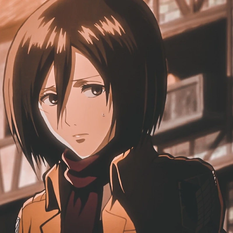 Hình ảnh Mikasa khiến fan Attack On Titan không thể rời mắt