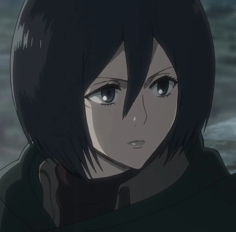 Phong cách chiến đấu của Mikasa Aot khiến mọi kẻ thù run sợ