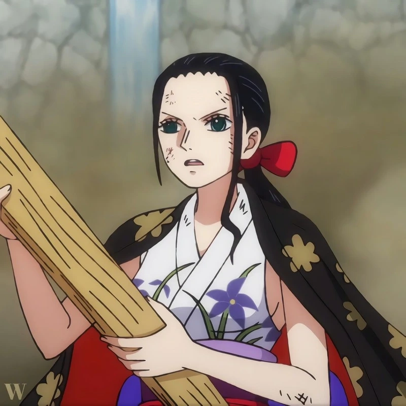 Nico Robin nhà khảo cổ học bí ẩn và quyến rũ