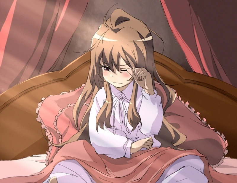 Thêm hiệu ứng độc đáo taiga aisaka edit