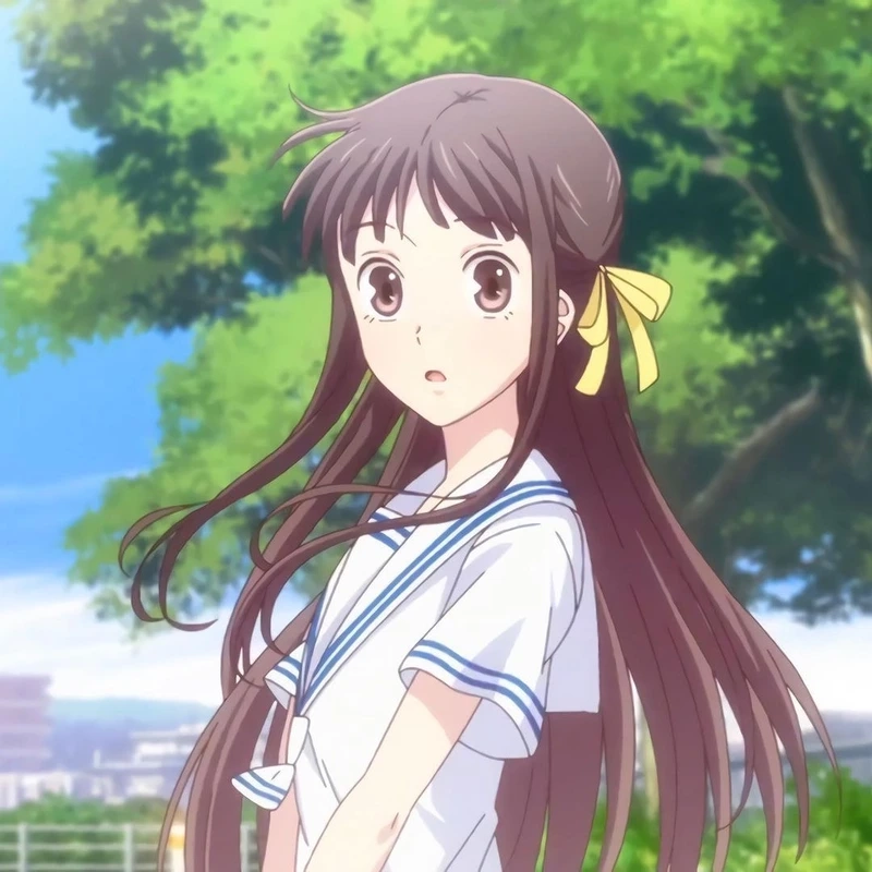 Fan không thể bỏ lỡ tohru honda fruits basket