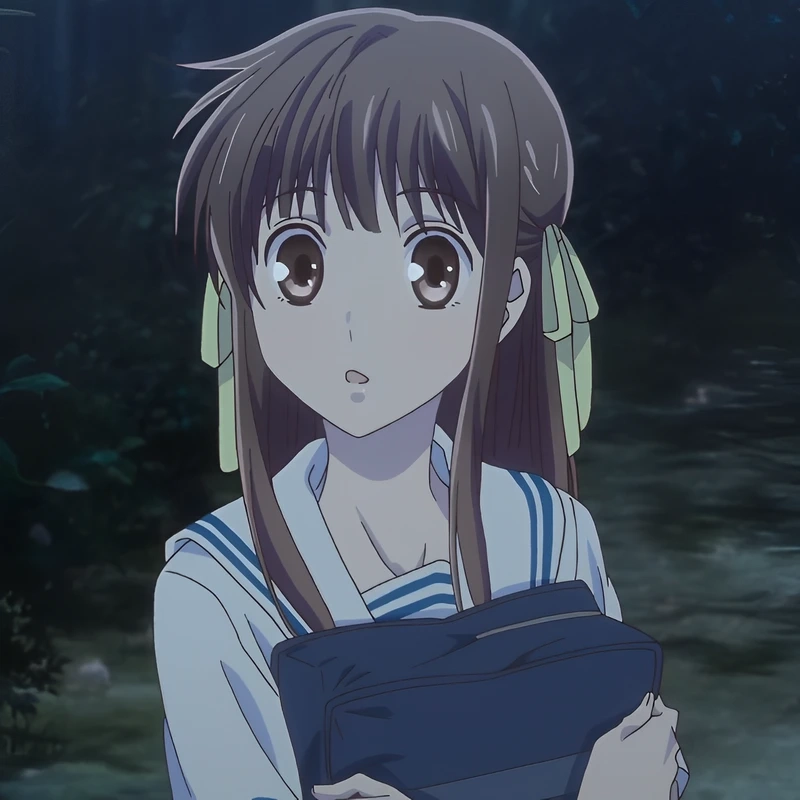 Anime nổi bật anime tohru honda